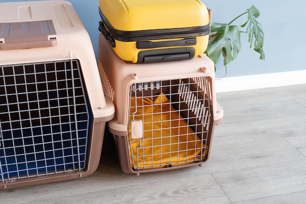 Porta mascotas de plástico o jaula para mascotas y maleta amarilla en el piso en el espacio de copia de casa