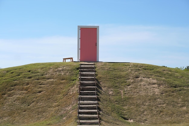 Porta rosa no gramado verde