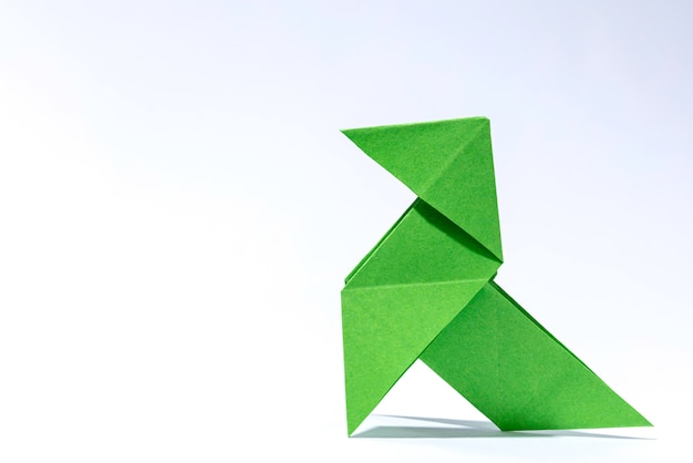 Foto portada del libro con origami verde