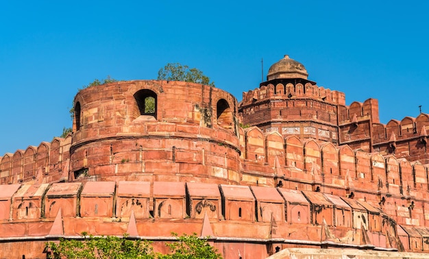 Portão de deli do forte de agra. patrimônio da unesco na índia