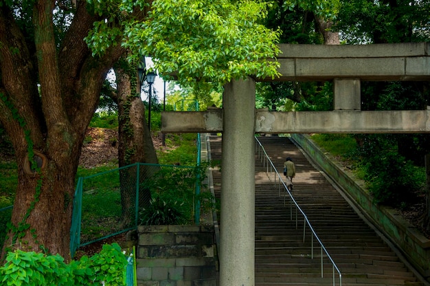 Portão do torii das escadas do parque de japão tokyo ueno