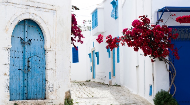 Portas azuis, janela e parede branca do edifício