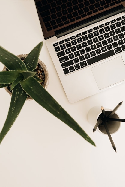 Foto portátil en mesa blanca con planta de aloe.