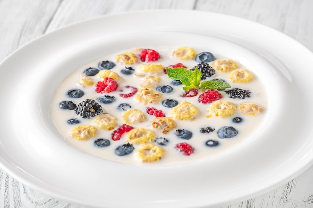 Portion Getreide mit Milch und Beeren