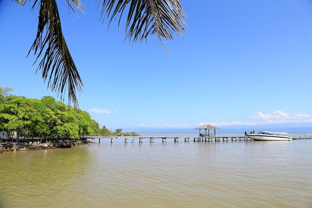 Porto do barco da velocidade no oceano com árvore de coco, floresta dos manguezais com céu azul.