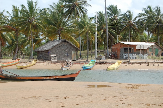 Foto porto in ponta dos mangues sergipe