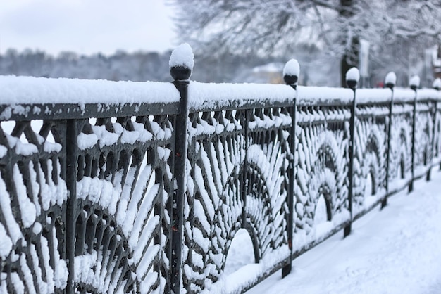 Portões de cerca forjados de inverno