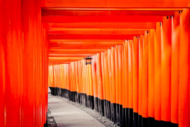 portões de torii fushimi inari taisha