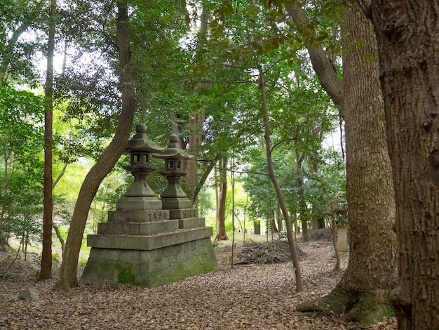 Portões tori vermelhos em Fushimi-Inari Taisha, Kyoto, Japão.