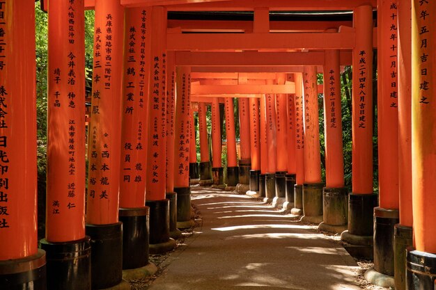 Portões Torii em Fushimi Inari em Kyoto