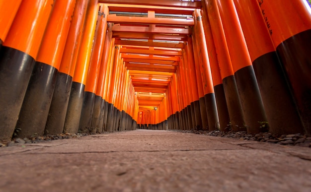 Portões torii