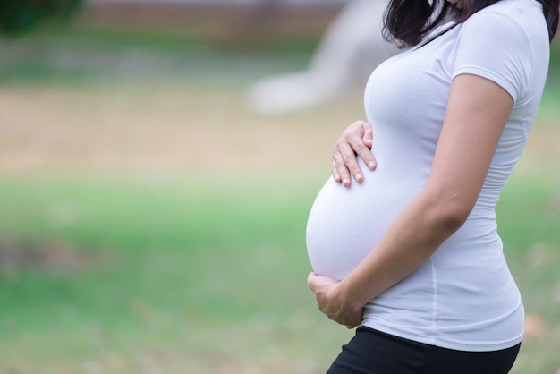 Porträt der asiatischen Schönen schwangeren Frau im ParkThailand MenschenGlückliches FrauenkonzeptIhre Hand berührt ihren BauchMuttertagskonzept