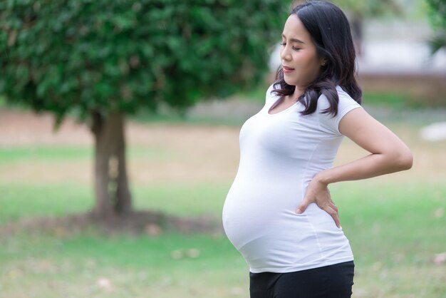 Porträt der asiatischen Schönen schwangeren Frau im ParkThailand MenschenGlückliches FrauenkonzeptIhre Hand berührt ihren BauchMuttertagskonzept