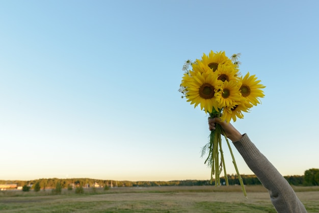 Porträt der jungen schönen asiatischen Frau im Bereich der blühenden Sonnenblumen im Freien