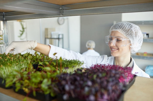 Porträt der lächelnden Wissenschaftlerin, die Pflanzenproben während der Arbeit im Biotechnologielabor untersucht, Raum kopieren