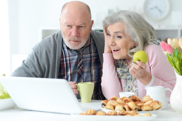 Porträt des älteren Paarporträts mit Laptop