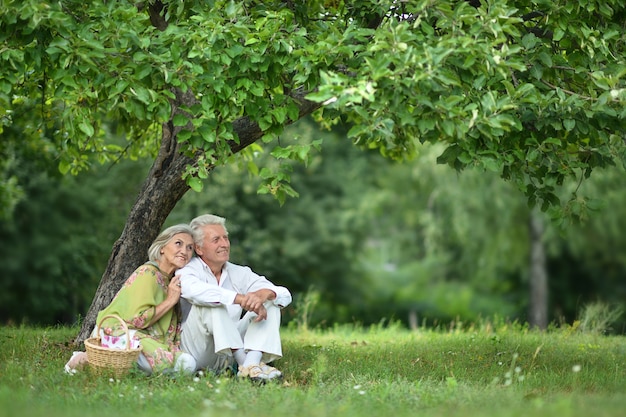 Porträt des amüsanten alten Paares auf Picknick