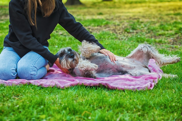 Porträt des Besitzers und des rauen Colliehundes genießt, ruht und streichelt zusammen auf Stadtstraße.