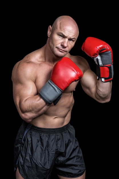 Porträt des Boxers mit roten Handschuhen
