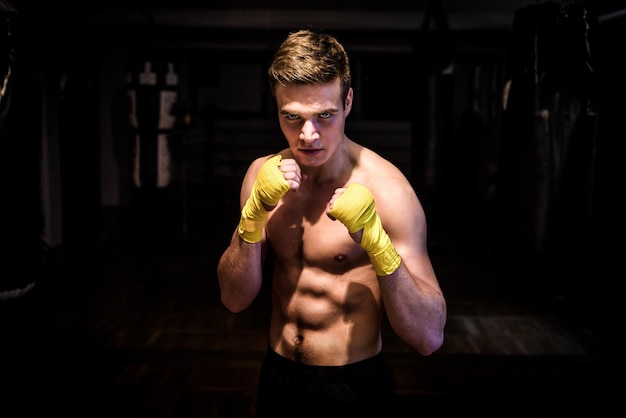 Porträt des Boxers