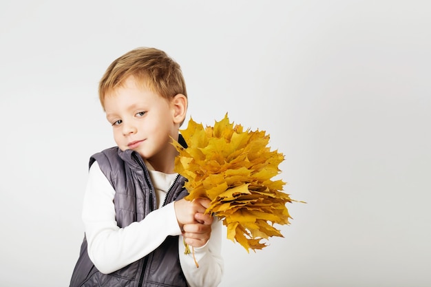 Porträt des glücklichen freudigen schönen kleinen Jungen mit Herbstlaub