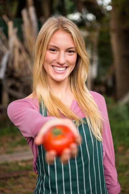 Porträt des glücklichen Gärtners, der frische Tomate am Garten anbietet