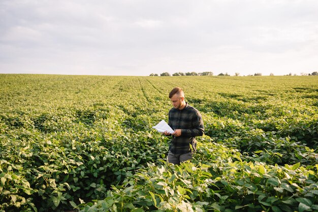 Porträt des jungen Landwirts, der auf dem Sojabohnengebiet steht.