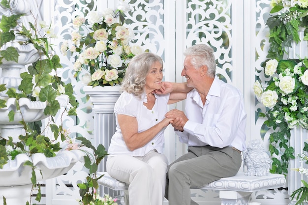 Porträt des netten glücklichen älteren Paares, das aufwirft