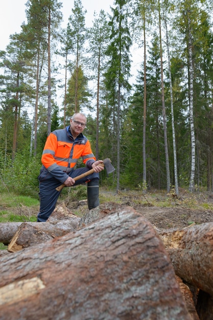 Foto porträt des reifen gutaussehenden mannes, der auf haufen gehackten holzes tritt, während axt im wald hält