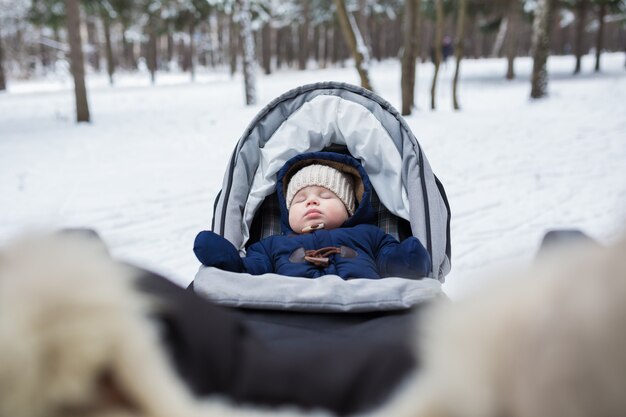 Porträt des schlafenden Babys im Winterpark