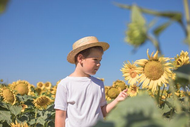 Porträt des schönen kleinen blonden Jungen auf Sommersonnenblumenfeld draußen. Nettes Vorschulkind, das Spaß am warmen Sommertag hat. Kinder und Natur. Fröhliche Sommerzeit.