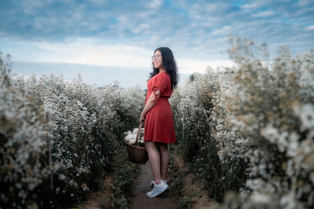Porträt einer asiatischen jungen Frau, die glückliche Reisende mit rotem Kleid genießt, die in weiß blühendem oder weißem Marguerite Daisy-Blumenfeld genießt, um einen Blumenkorb im Naturgarten von Chiang Mai, Thailand, zu halten