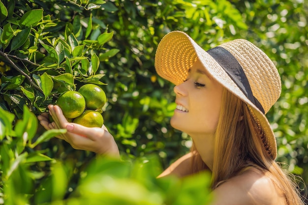 Porträt einer attraktiven Bäuerin erntet Orange im Bio-Bauernhof Fröhliches Mädchen in Glücksgefühlen beim Ernten von Orangen im Garten Landwirtschafts- und Plantagenkonzept