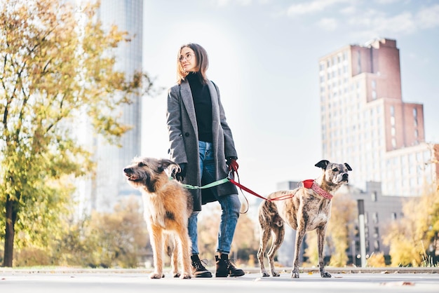 Porträt einer Frau mit Hunden auf der Straße