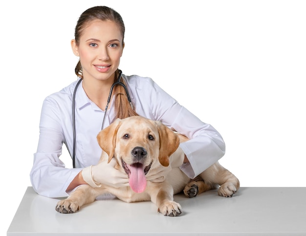 Porträt einer glücklichen Tierärztin, die Welpen in der Klinik hält