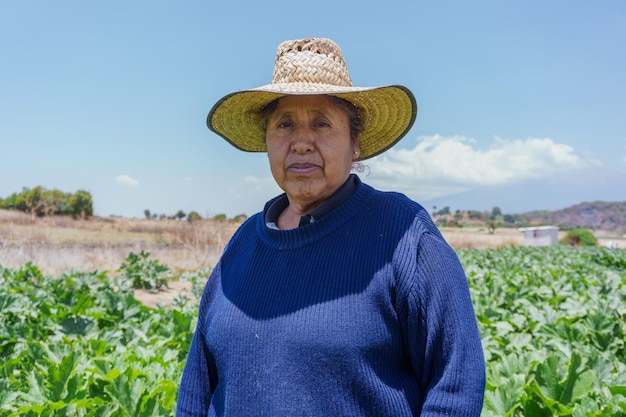 Porträt einer hispanischen Frau in einem Zucchinifeld