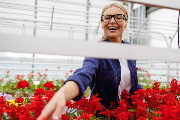 Porträt einer hübschen reifen Frau mit Brille, die Blumen in einem Gartenzentrum oder Gewächshaus kauft