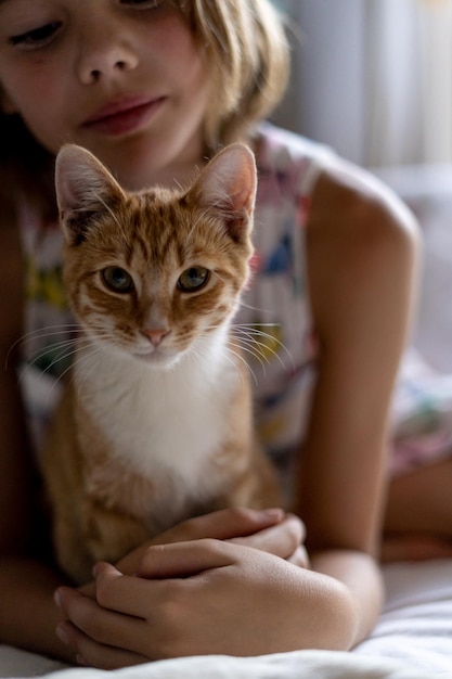 Foto porträt einer katze mit einem mädchen im bett zu hause