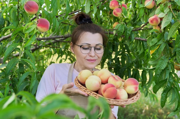 Porträt einer lächelnden Frau mit Korb mit frischem Pfirsichbaum mit reifem Pfirsichhintergrund