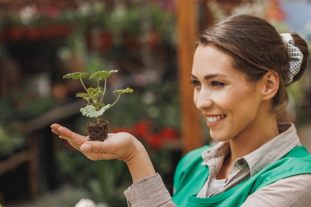 Porträt einer lächelnden Unternehmerin, die eine wachsende Pelargonium-Pflanze in einem Blumengewächshaus hält.
