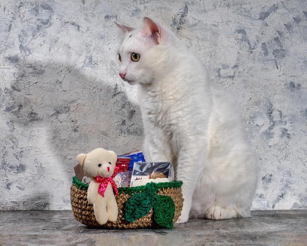 Porträt einer weißen Katze, die neben einem gestrickten Jutekorb sitzt