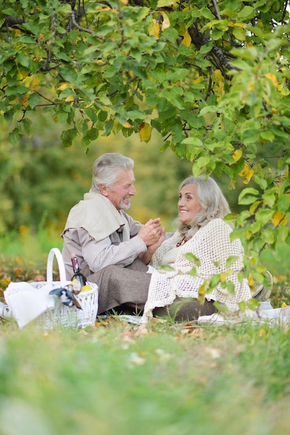 Porträt eines älteren Ehepaares, das im Park picknickt