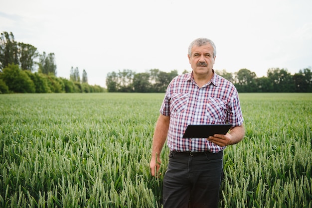 Porträt eines älteren Landwirts, der in einem Weizenfeld steht