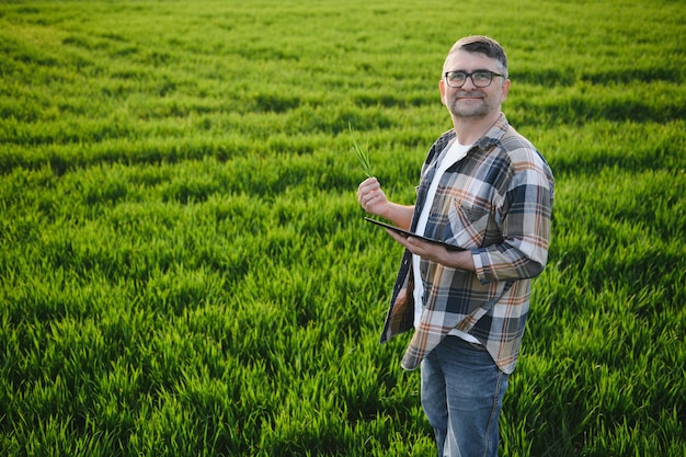 Porträt eines älteren Landwirts im Weizenfeld