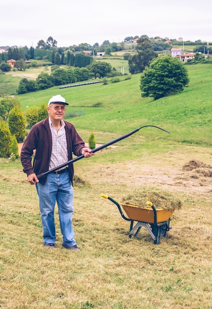 Porträt eines älteren Mannes, der Heu mit Heugabel und Schubkarre auf einem Feld harkt