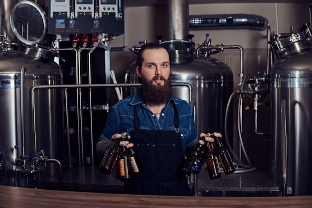 Porträt eines bärtigen, tätowierten Hipster-Männchens in Jeanshemd und Schürze, das in einer Brauerei arbeitet, hält Flaschen mit Bier.