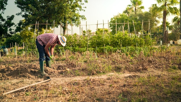 Porträt eines Bauern mit Kartoffeln auf den Händen im landwirtschaftlichen Betrieb