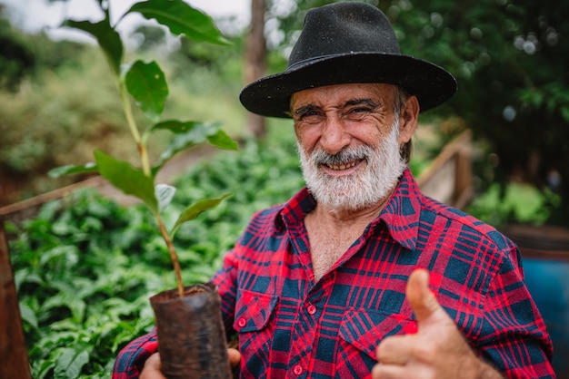 Porträt eines brasilianischen Bauern im Freizeithemd auf der Farm, der Kaffeesämlinge analysiert