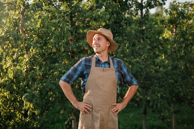 Porträt eines glücklich lächelnden männlichen Bauernarbeiters, der während der Herbsternte frische Birnen im Obstgarten pflücken Erntezeit