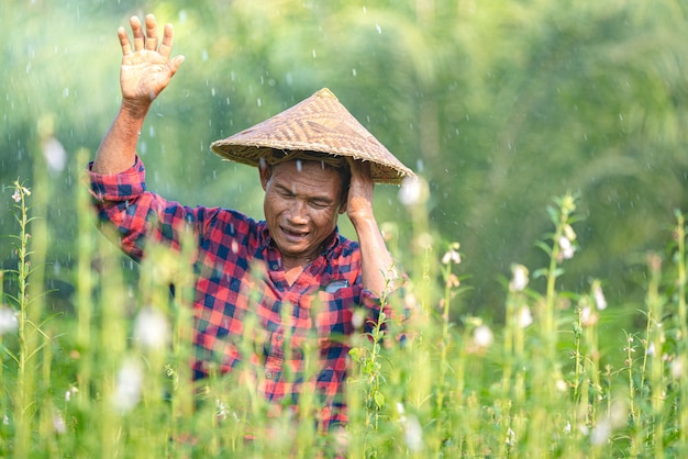 Porträt eines glücklichen älteren asiatischen Bauern am Sesamgarten